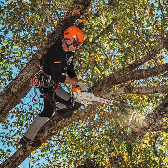 Stihl MSA 220 TC Image 4