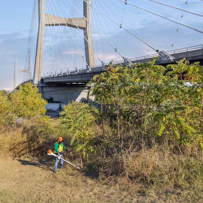 Stihl FS 561 C-EM Image 2