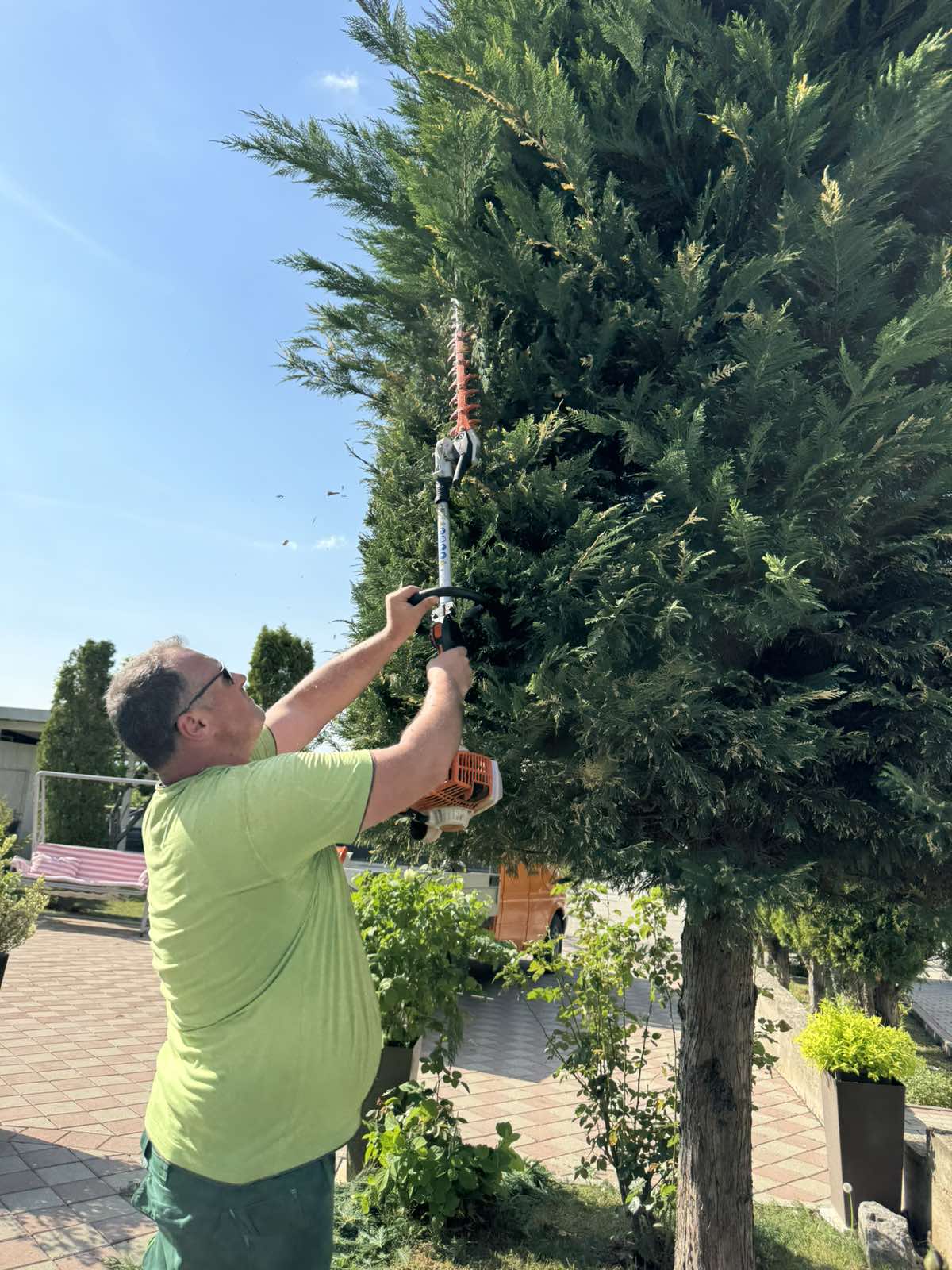 Tree Cutting